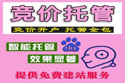 某电商平台的SEM优化案例分享